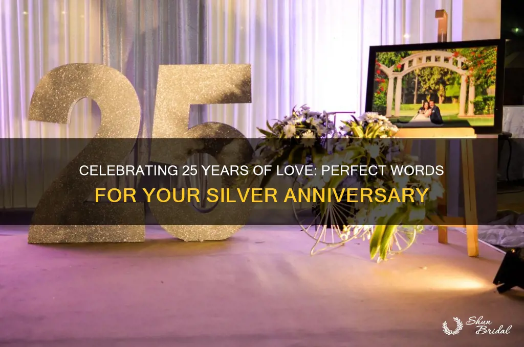 what to say 25th wedding anniversary