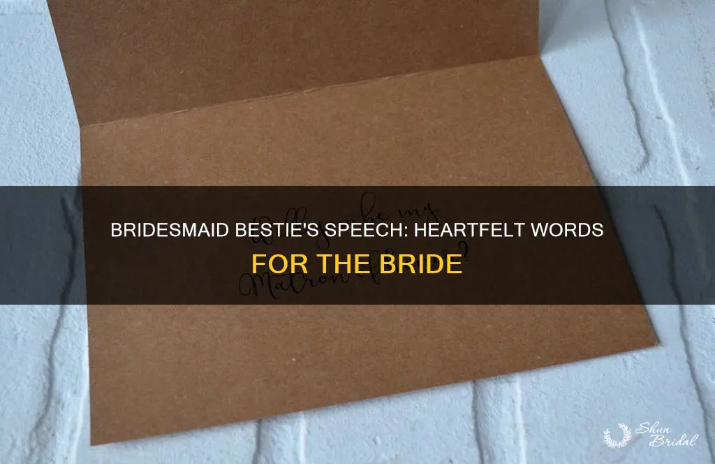 what to say about bridesmaids bestfriends speech