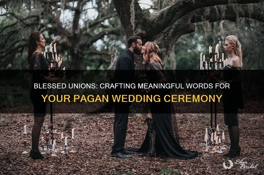 what to say at pagan wedding ceremony