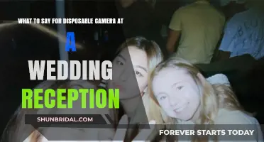Disposable Camera Tips for Wedding Reception Fun