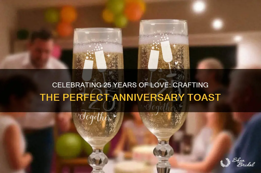 what to say in a toast 25th wedding anniversary speech