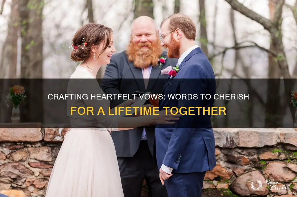 what to say in a vow