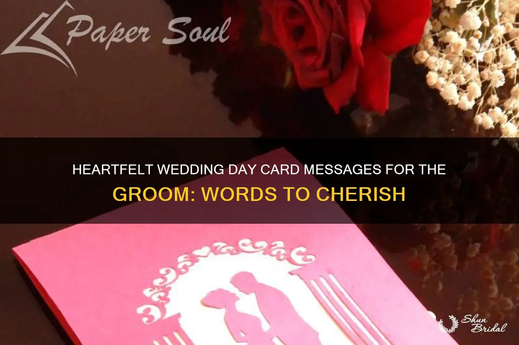 what to say in card between groom on wedding day