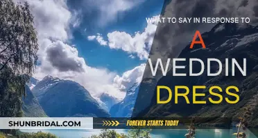 How to Respond to a Wedding Dress: Guide for the Perfect Reply