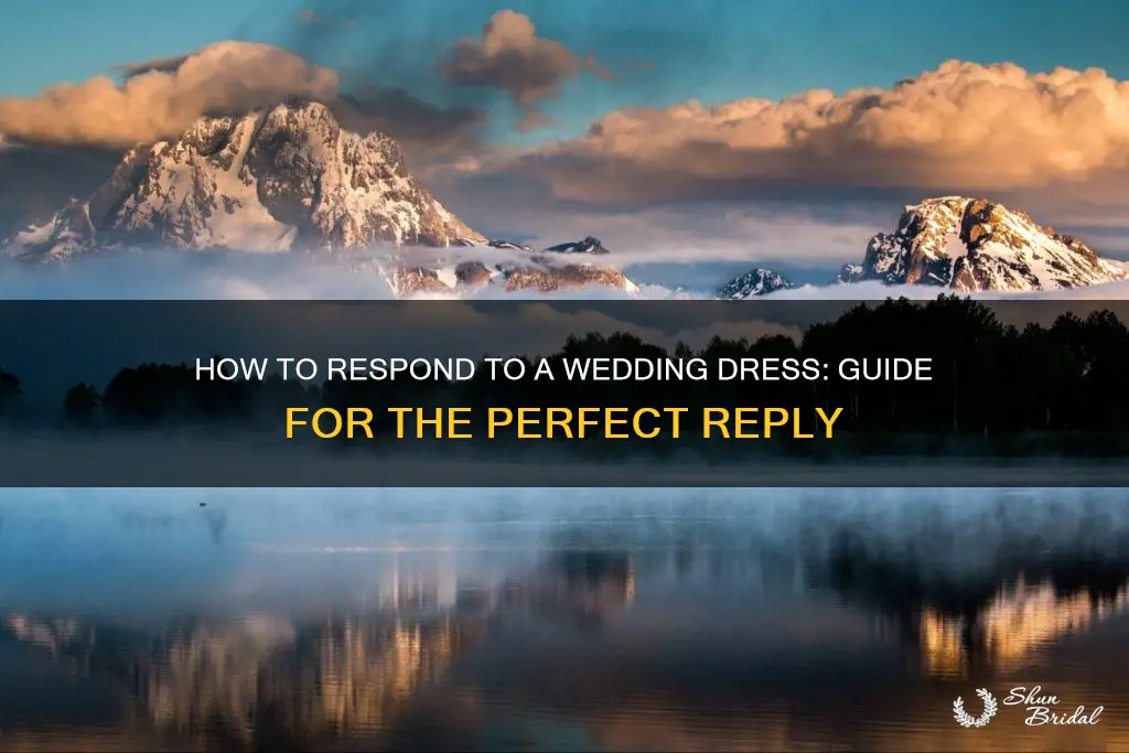 what to say in response to a wedding dress