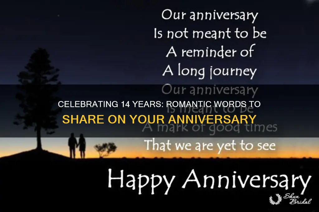 what to say on a 14th wedding anniversary