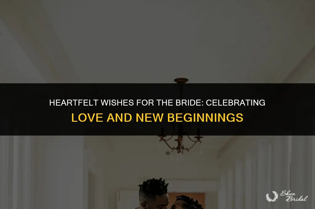what to say to a bride on her wedding day