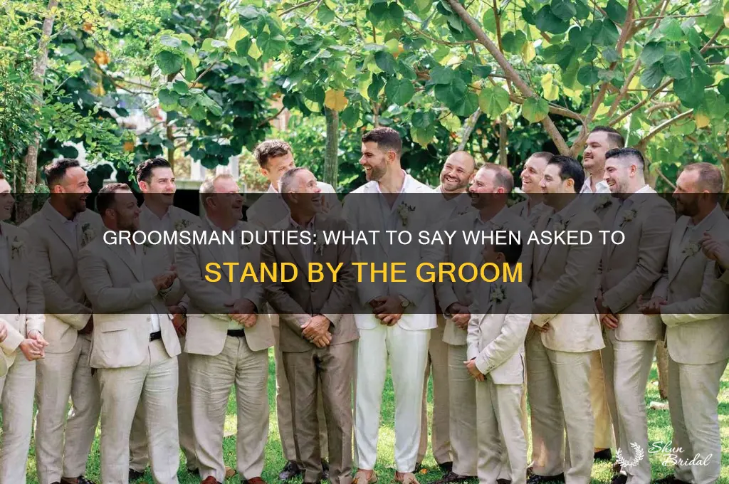 what to say when youre asked to be a groomsman
