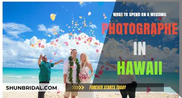 Hawaii Wedding Photography: How Much to Spend?