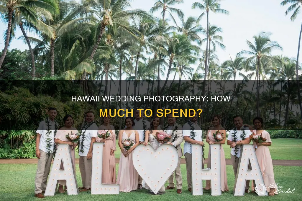what to spend on a wedding photographer in hawaii