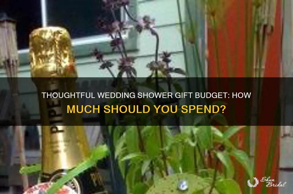 what to spend on a wedding shower gift