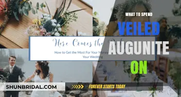 Maximizing Veiled Augunite: Smart Spending Strategies for Optimal Results