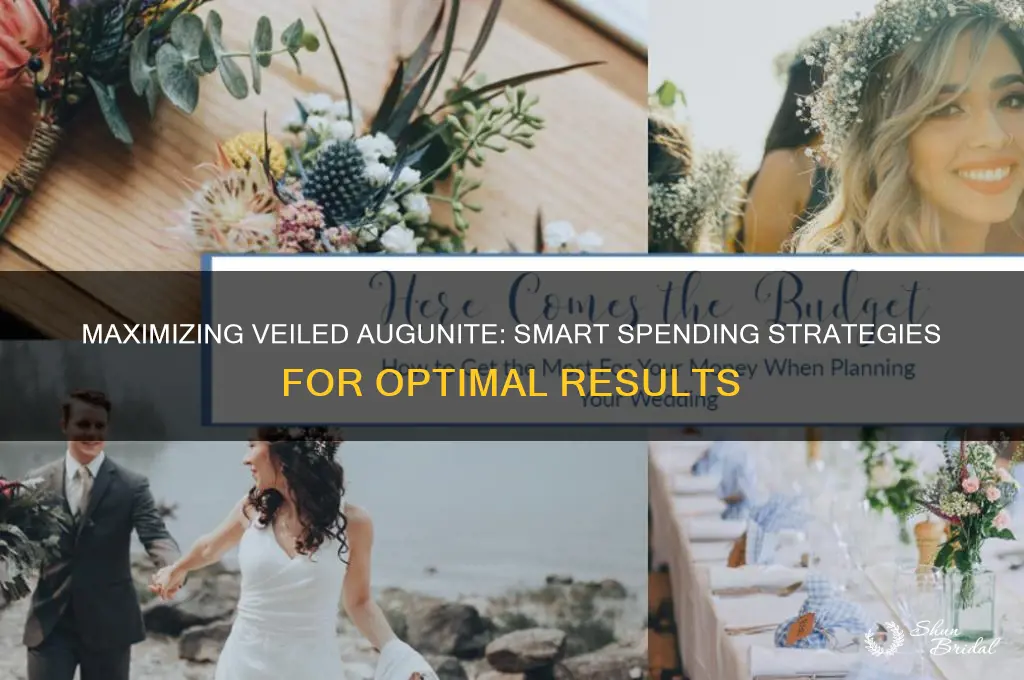 what to spend veiled augunite on