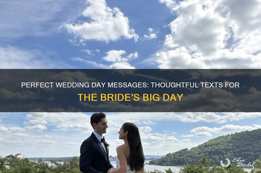 what to text a bride on her wedding day