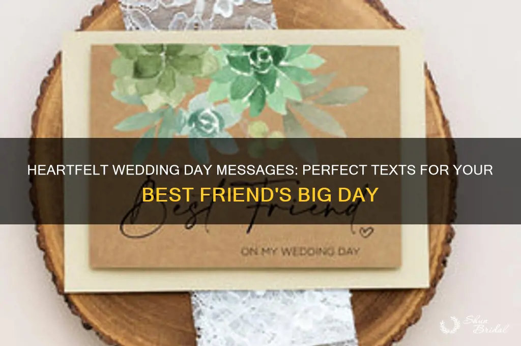 what to text your best friend on her wedding day