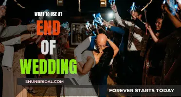 The Perfect Wedding Ending: Creative Ways to Close the Ceremony
