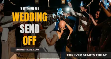 Creative Wedding Send-Off Ideas for a Grand Exit