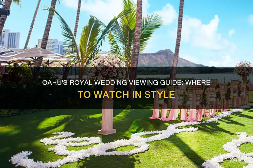 what to watch royal wedding on oahu