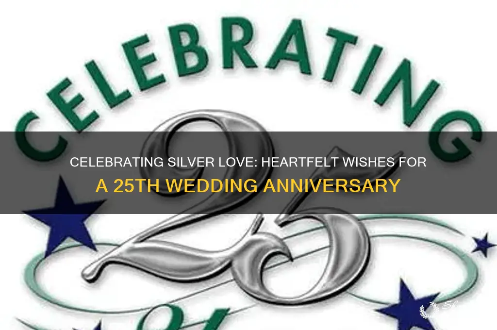 what to wish a couple on their 25th wedding anniversary