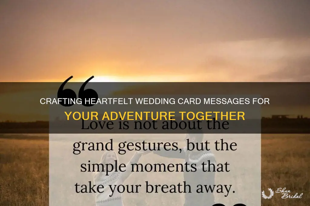 what to write in a wedding card adventure