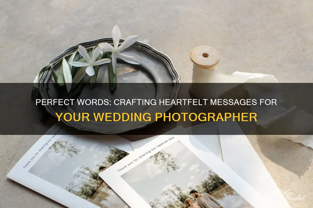 what to write in a wedding photographer card
