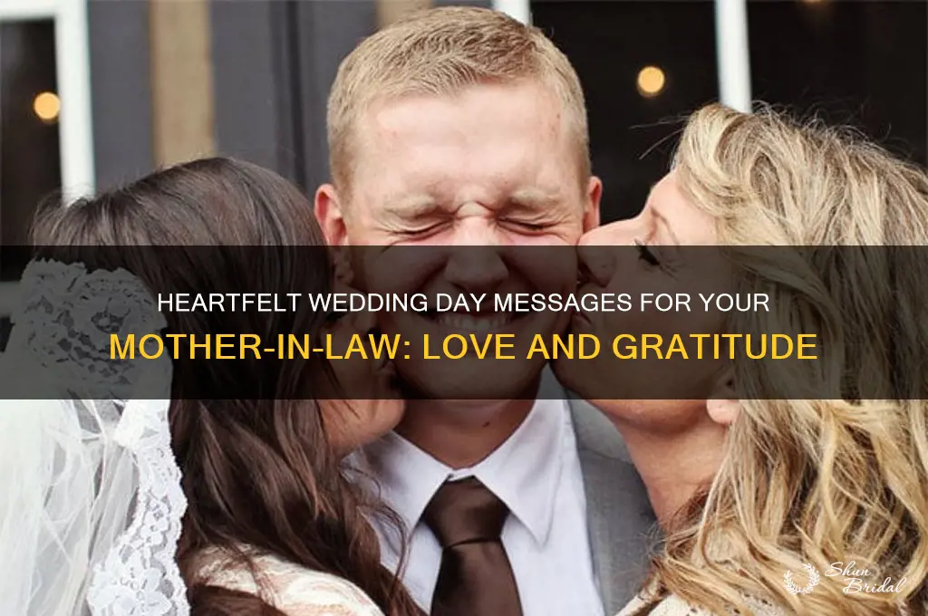 what to write to mother in law on wedding day