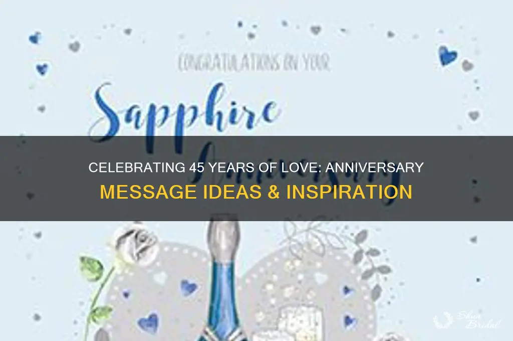 what to writewhen your celebrating 45 year wedding anniversary
