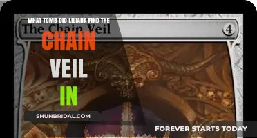 Liliana's Discovery: The Tomb Where She Found the Chain Veil