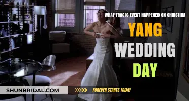Christina Yang's Wedding Day Tragedy: Unraveling Grey's Anatomy's Heartbreaking Twist