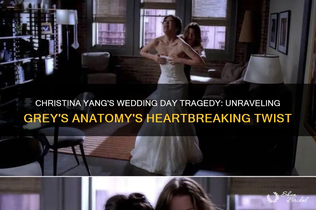 what tragic event happened on christina yang wedding day
