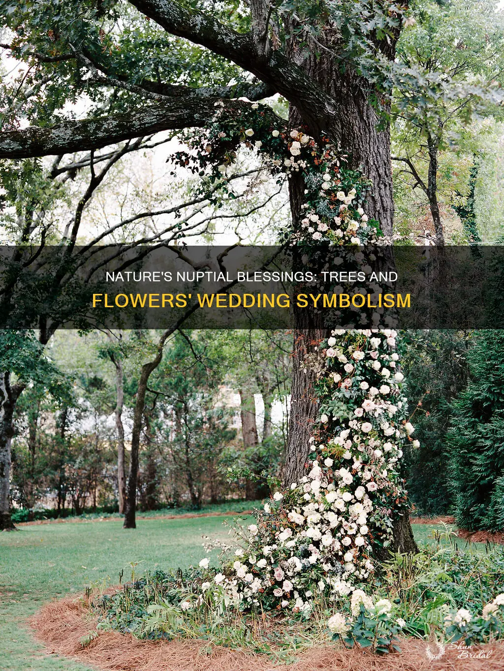 what trees and flowers symbolize weddings