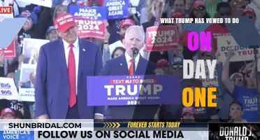 Trump's Day One Agenda: Promises and Priorities Unveiled