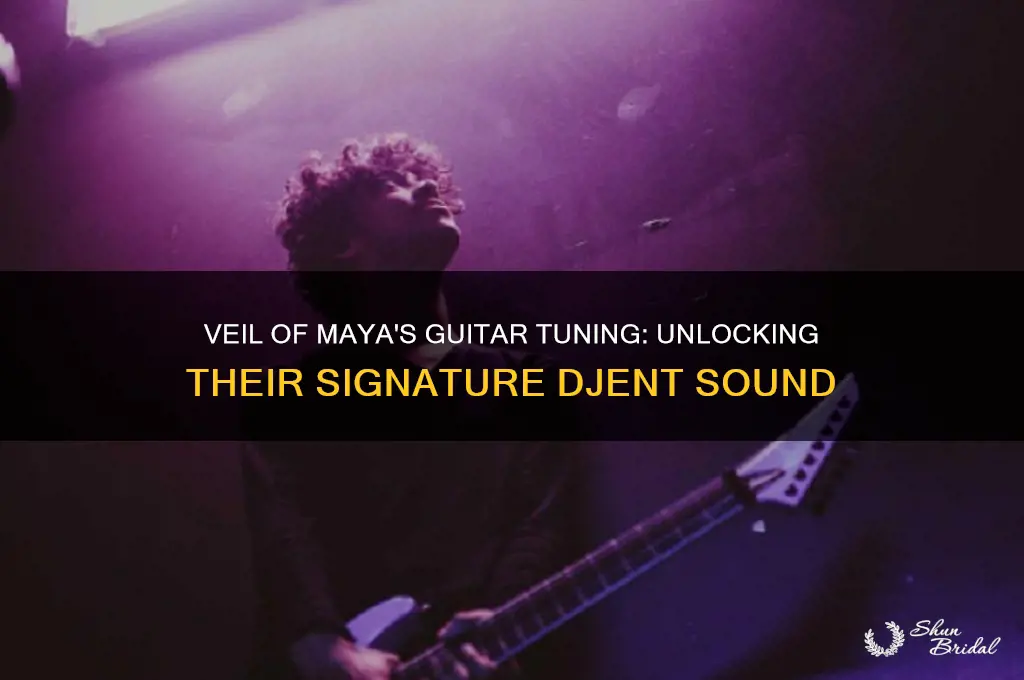 what tuning does veil of maya use