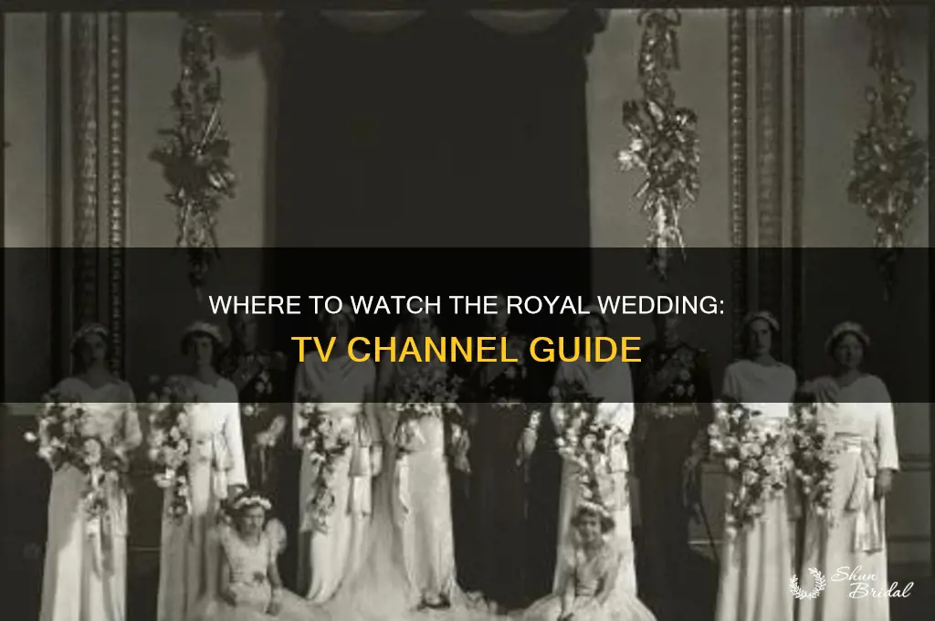 what tv channel is airing the royal wedding