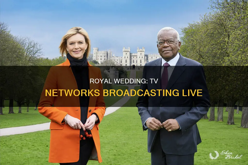 what tv networks will broadcast the wedding tomorow