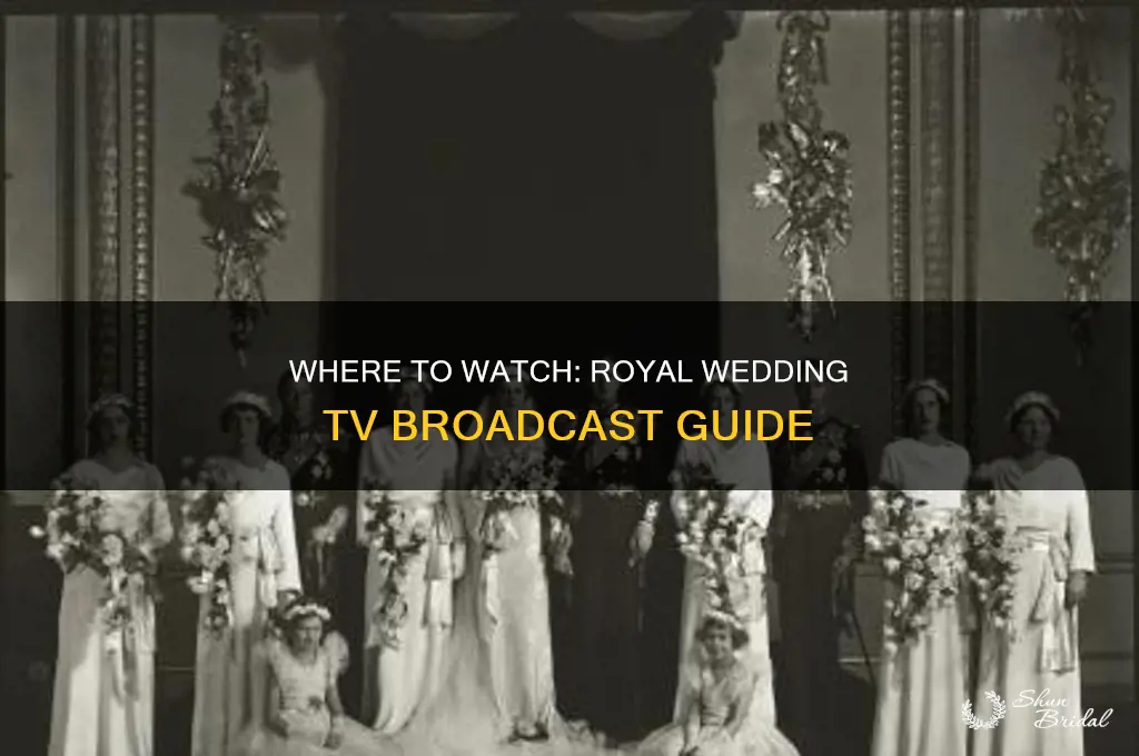 what tv satio is airing the royal wedding