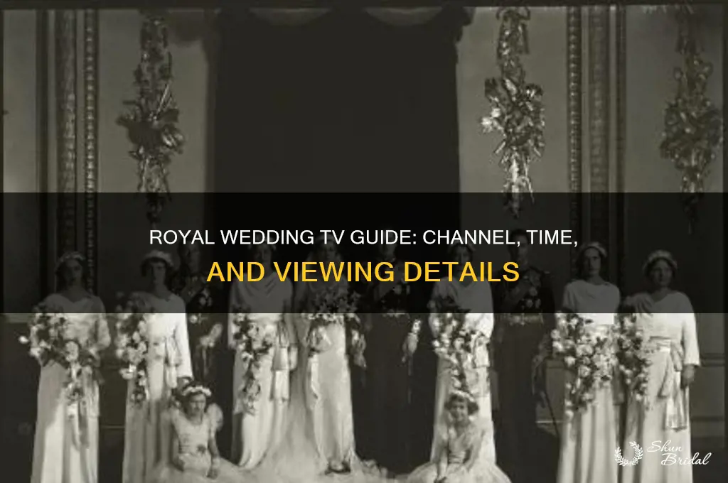 what tv station is the royal wedding on and time