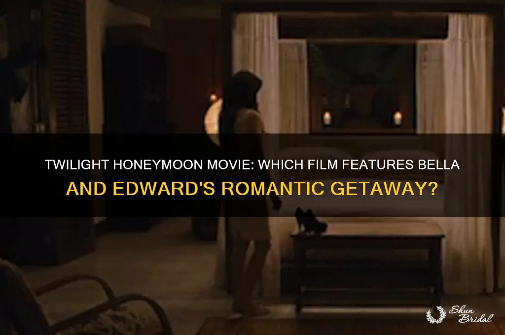 what twilight movie do they go on their honeymoon