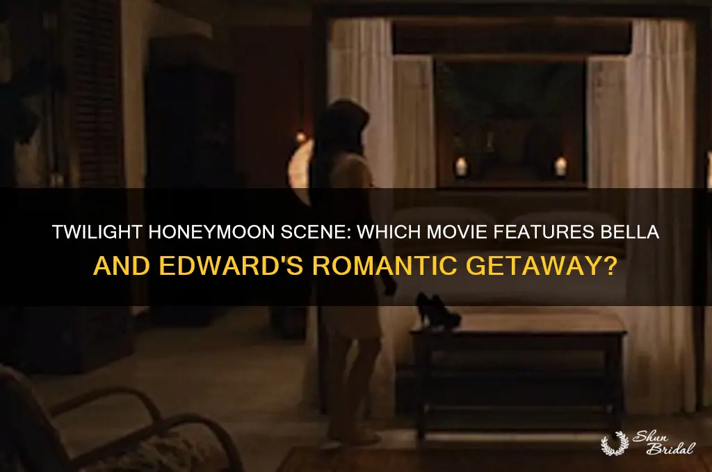 what twilight movie is the honeymoon