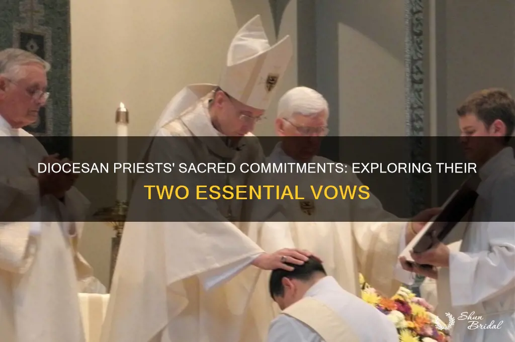 what two vows do diocesan priests take