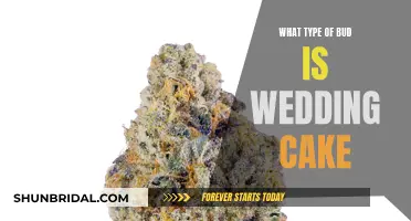 Wedding Cake Weed: A Bud for Nuptial Bliss