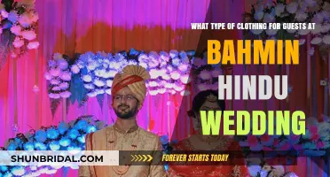 Dressing for a Bahmin Hindu Wedding: Guest Attire Guide