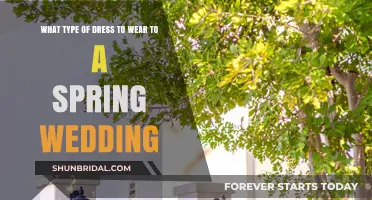 Spring Wedding Guest Dress Ideas