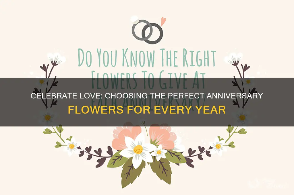 what type of flowers for wedding anniversary