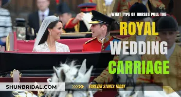 Majestic Steeds: The Royal Wedding Carriage Horses Revealed