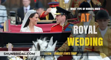 Majestic Steeds: Royal Wedding Horses and Their Regal Heritage