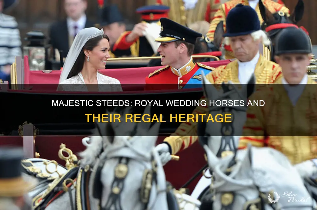 what type of horses used at royal wedding