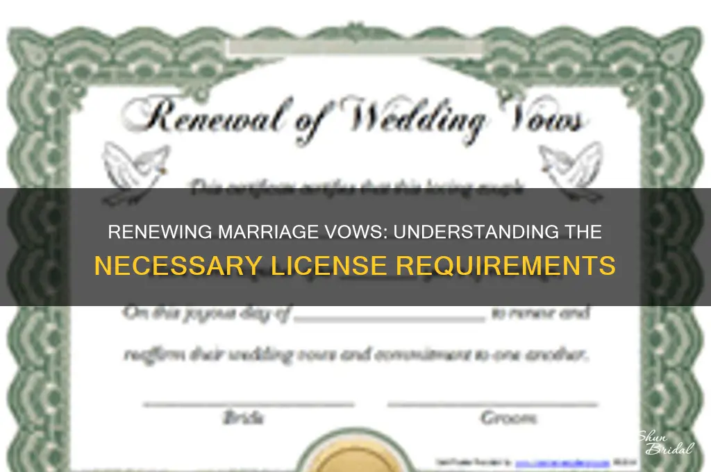 what type of license to perform renewed marriage vows