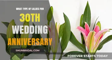 Celebrate 30 Years with These Stunning Lily Varieties for Your Anniversary