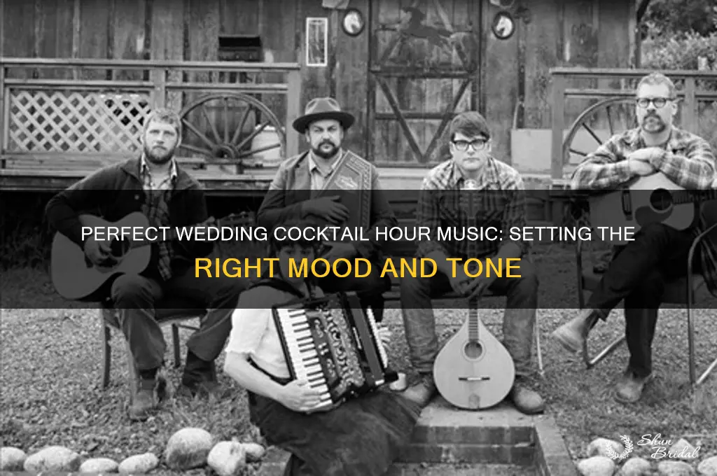 what type of music to play during wedding coctail hour